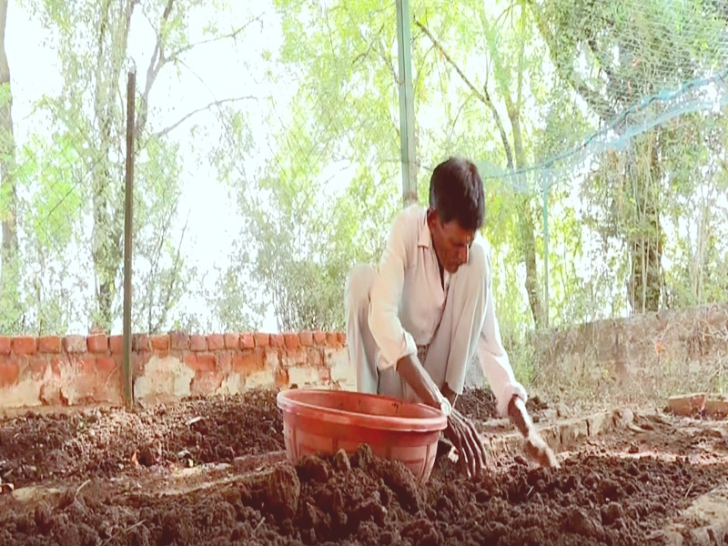 Gujarat institution turns self-reliant with biogas, cooks 500 meals daily